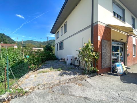 Via per Camaiore - Lucca
