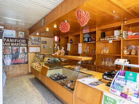 Via per Camaiore - Lucca
