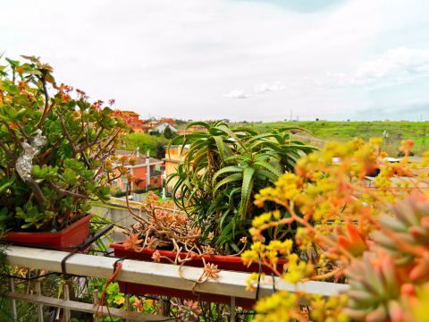 Via Giorgio Bo, 35 - Roma