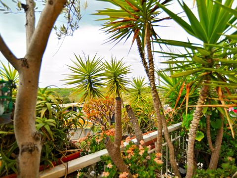 Via Giorgio Bo, 35 - Roma