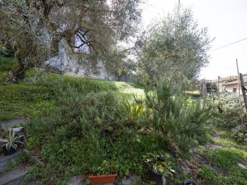 Via Martiri di Belfiore, 25 - Fivizzano