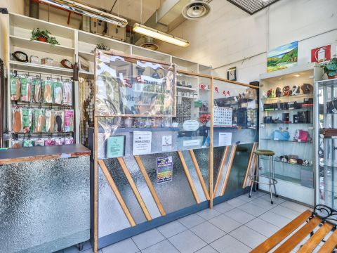 Via Amilcare Ponchielli, 23 - Bologna