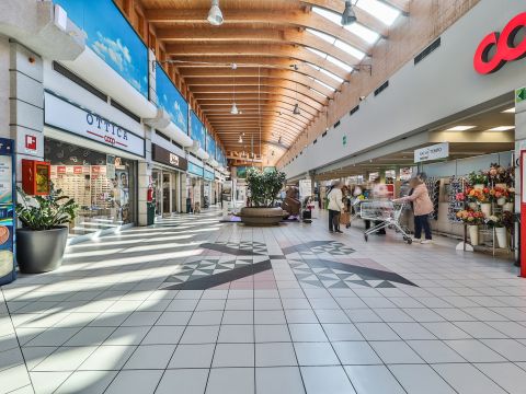 Via Amilcare Ponchielli, 23 - Bologna