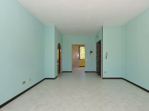 Via delle Palme - Pula