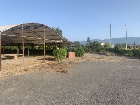 Via Amedeo Molinara - Altavilla Silentina