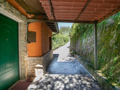 Contrada Morano - Olevano Romano