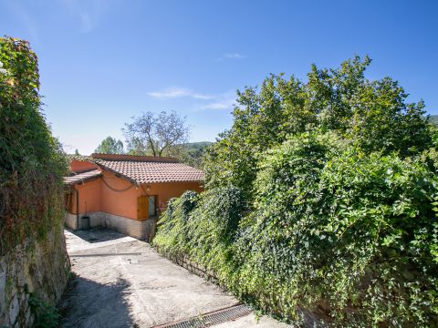 Contrada Morano - Olevano Romano