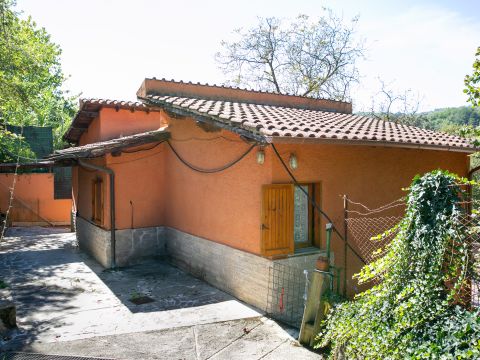 Contrada Morano - Olevano Romano