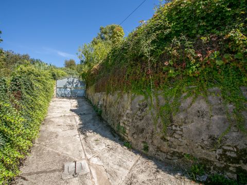 Contrada Morano - Olevano Romano