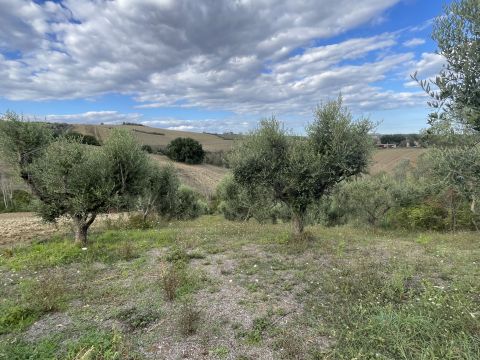 Via Villa Tassoni, 10 - Bellante