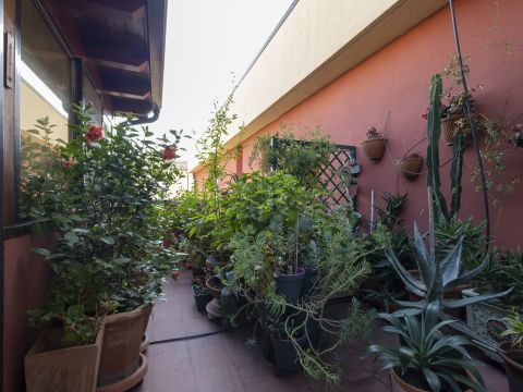 Viale Tommaso Campanella, 90 - Catanzaro