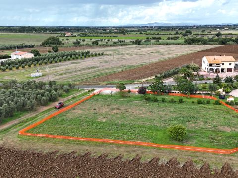 Via Campigliese, 21 - Bibbona