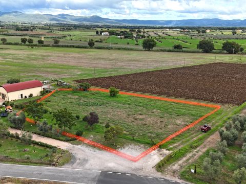 Via Campigliese, 21 - Bibbona