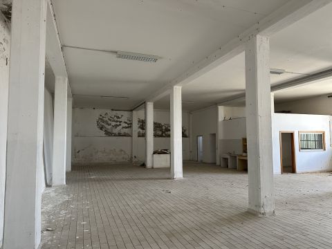 Via Pedine - Tollo