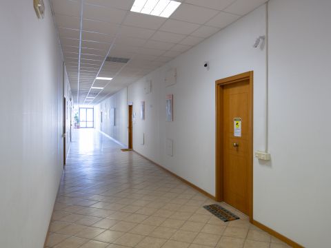 Via Salvatore Orlando, 3a - Livorno