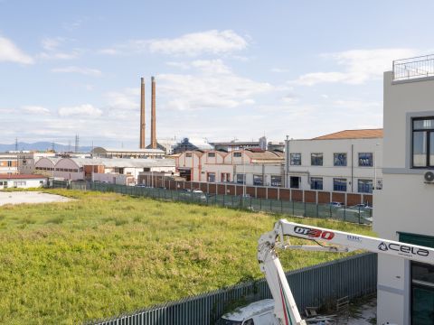 Via Salvatore Orlando, 3a - Livorno