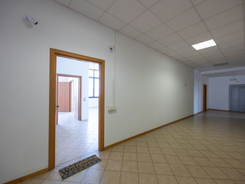 Via Salvatore Orlando, 3a - Livorno