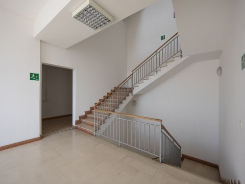 Via Salvatore Orlando, 3a - Livorno