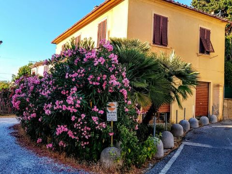 Via Palestro, 19 - Collesalvetti