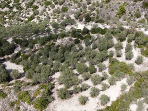 Loc Santa Barbara - Sorso