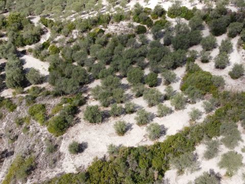 Loc Santa Barbara - Sorso