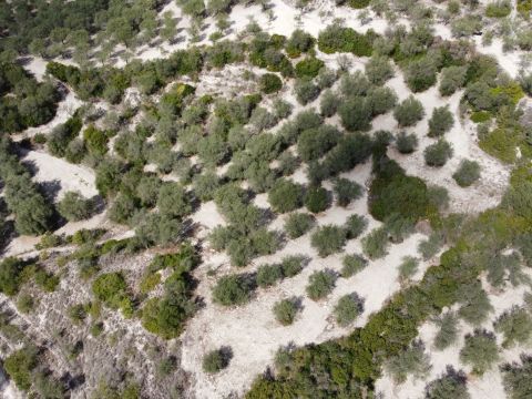 Loc Santa Barbara - Sorso
