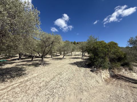 Loc Santa Barbara - Sorso