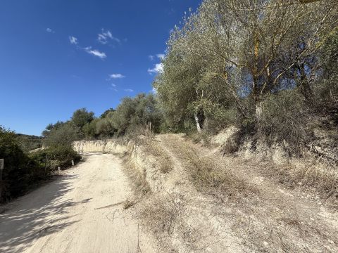 Loc Santa Barbara - Sorso