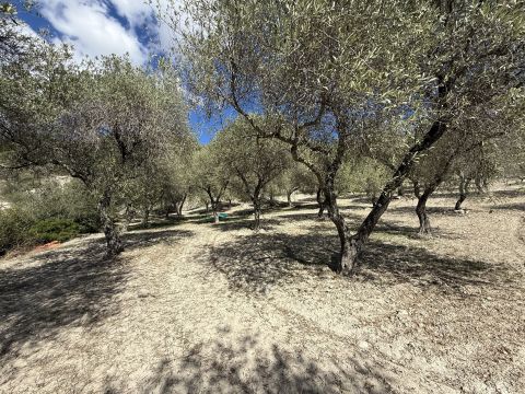 Loc Santa Barbara - Sorso