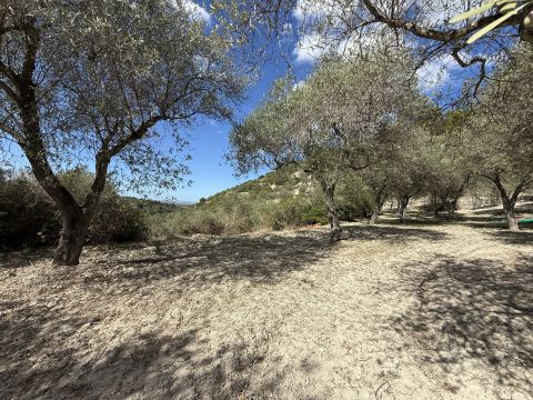 Loc Santa Barbara - Sorso