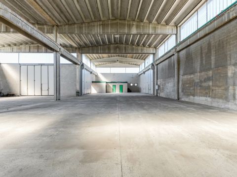 Via E. H. Grieg, 22 - Saronno