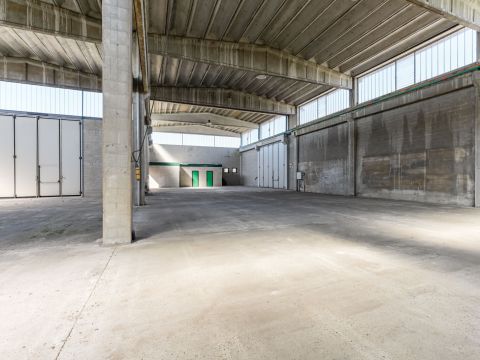 Via E. H. Grieg, 22 - Saronno