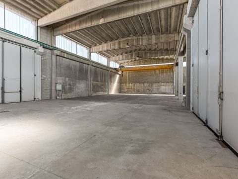 Via E. H. Grieg, 22 - Saronno