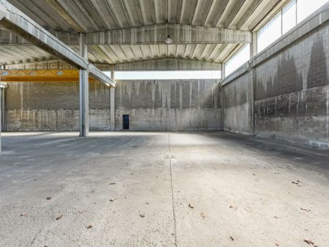 Via E. H. Grieg, 22 - Saronno