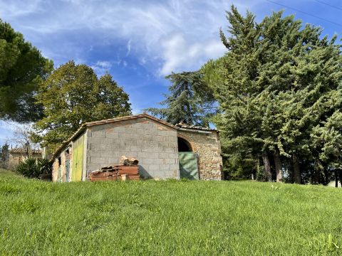 podere santo ottaviano 74 - Pomarance