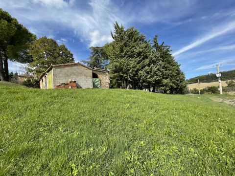 podere santo ottaviano 74 - Pomarance
