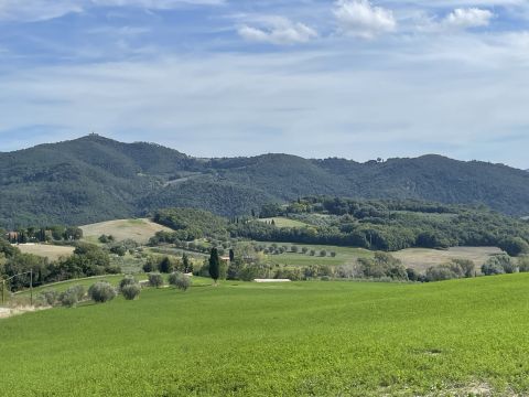 podere santo ottaviano 74 - Pomarance