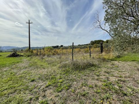 podere santo ottaviano 74 - Pomarance
