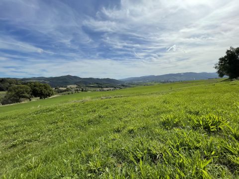 podere santo ottaviano 74 - Pomarance
