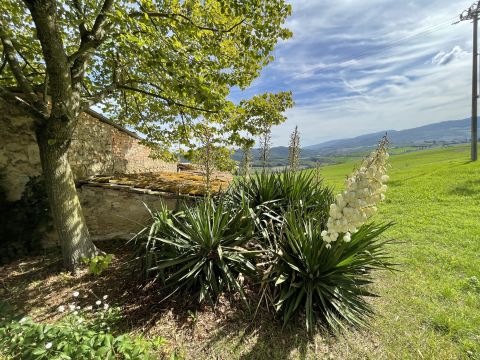 podere santo ottaviano 74 - Pomarance