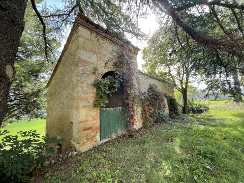 podere santo ottaviano 74 - Pomarance