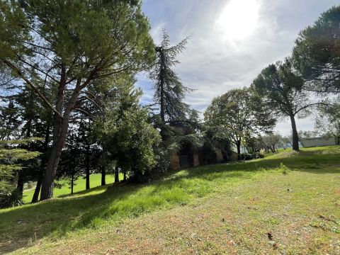podere santo ottaviano 74 - Pomarance