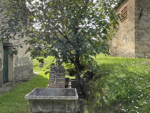 podere santo ottaviano 74 - Pomarance