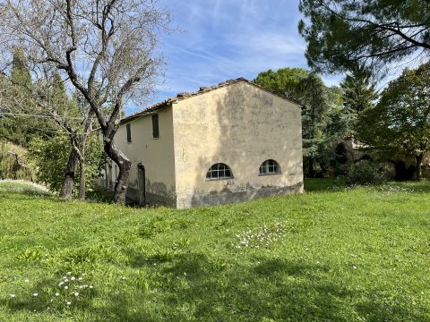 podere santo ottaviano 74 - Pomarance