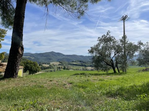 podere santo ottaviano 74 - Pomarance