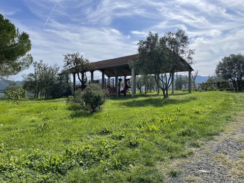 podere santo ottaviano 74 - Pomarance