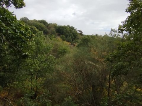 Strada Milia - Biancavilla