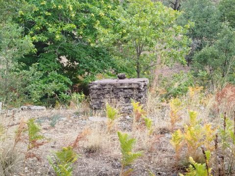 Strada Milia - Biancavilla