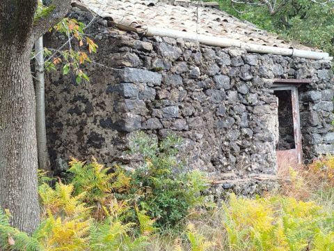 Strada Milia - Biancavilla