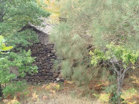 Strada Milia - Biancavilla